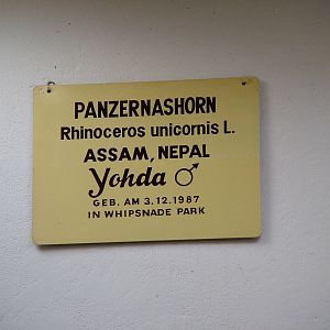 Label for Indian Rhino Yodha at Berlin Zoo, 31/08/11
