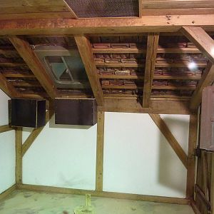 Bat enclosure 'Indoors'