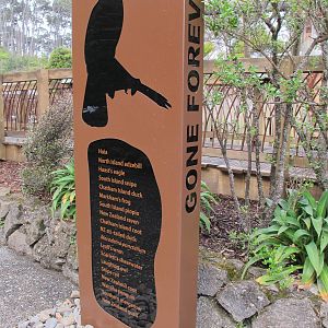 Signage - Te Wao Nui, Auckland Zoo 2011