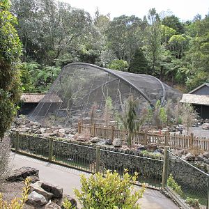 High Country Aviary 1 - Te Wao Nui, Auckland Zoo 2011