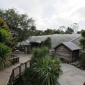 Wetlands Aviary - Te Wao Nui, Auckland Zoo 2011