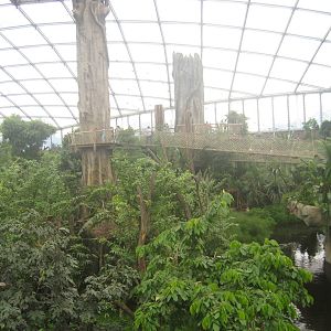Leipzig Zoo - Gondwanaland