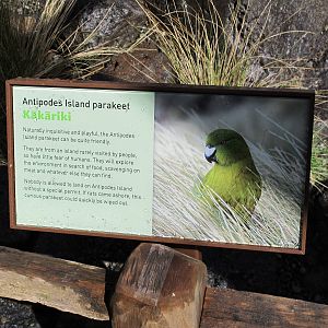Species Signage - Te Wao Nui Auckland Zoo 2011