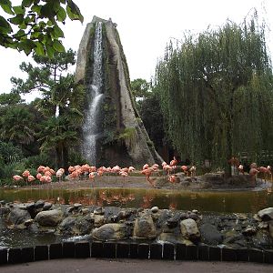 Entrance Cuban Flamingo Pool