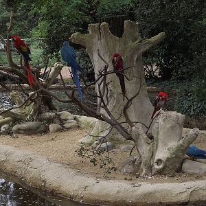 Macaw Island