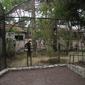 Aviaries near Entrance