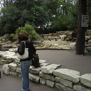 Approach to Humbolts Penguins