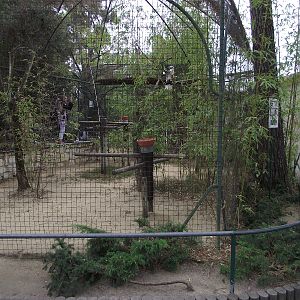 Hornbill Aviary