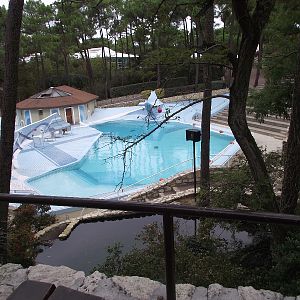 View from Cafe to Sealion Pool