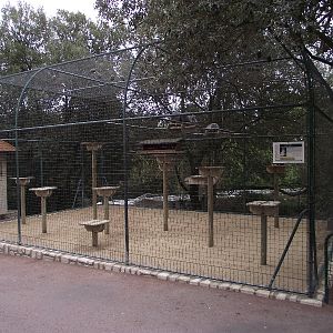 Ring-Tailed Lemur Enclosure