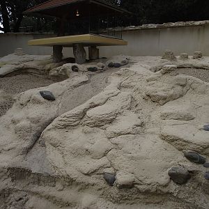 Meerkat Outdoor Enclosure