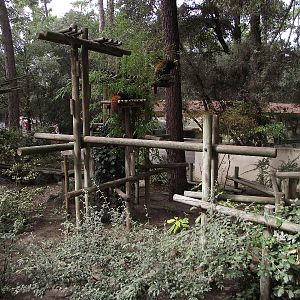 Red Panda Enclosure #1