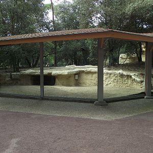 Wolf Enclosure Viewing