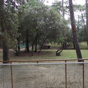 Cheetah Enclosure #1