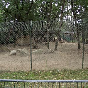 Cheetah Enclosure #2