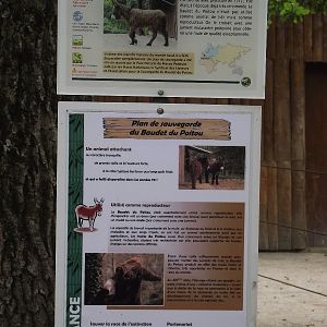 Poitou Donkey Signage