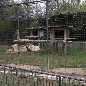 Lynx Enclosure