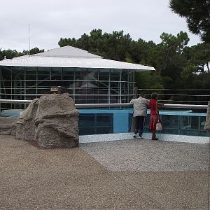 Polar Bear Upper Viewing Area #1