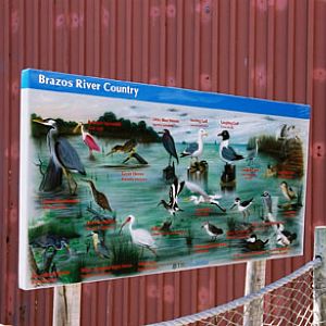 texas shorebird sign