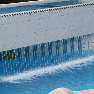 Polar Bear Waterfall