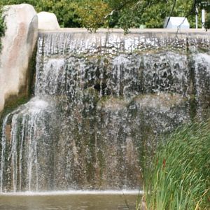 Great Ape Exhibit Waterfall