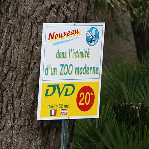 Zoo DVD Advert