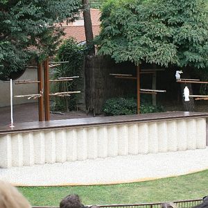 Parrot Show Stage
