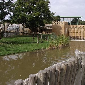 Great Ape Outdoor Islands #3