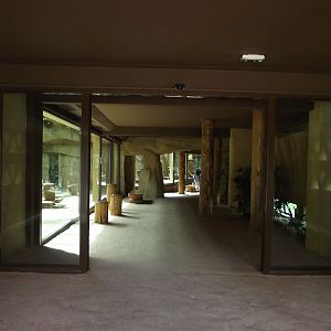 Great Ape House Indoor #1