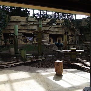 Great Ape House Indoor #2