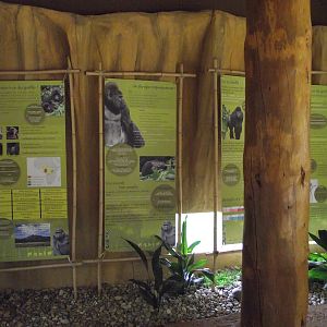 Great Ape House Indoor #3