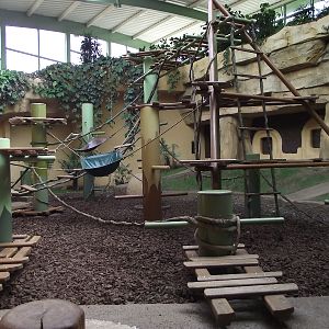 Great Ape House Indoor #4
