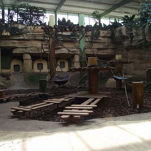Great Ape House Indoor #5