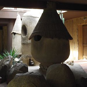 Great Ape House Indoor #6