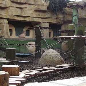 Great Ape House Indoor #7