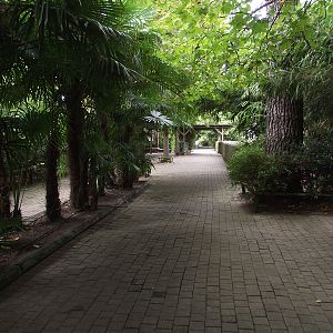 Path from Entrance