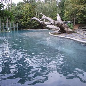 Polar Bear Enclosure #1