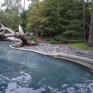 Polar Bear Enclosure #1