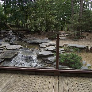 Arctic Wolf Enclosure #3