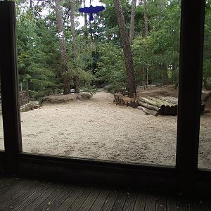Arctic Wolf Enclosure #5