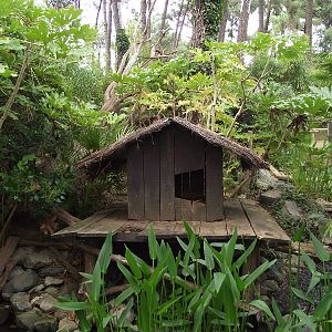 Red Panda Enclosure #2