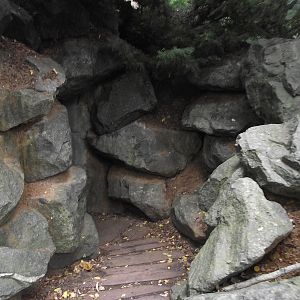 Bear Cave Entrance