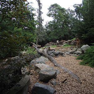 Brown Bear Enclosure