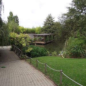 Walk to Parrot Jungle