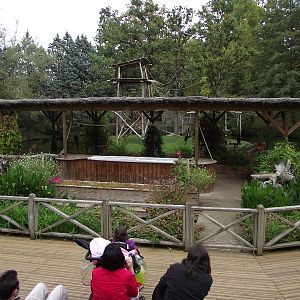 Parrot Show Stage