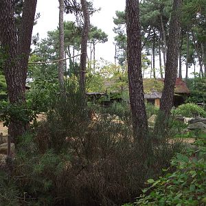 Elephant Enclosure #1