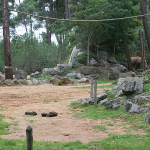 Elephant Paddock