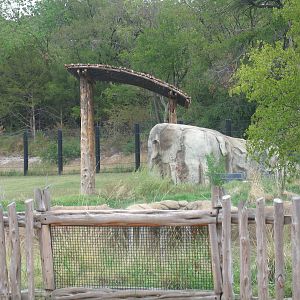 Giants of the Savanna - The Seventh Elephant