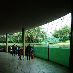Hippo House at Berlin Zoo, 31/08/11