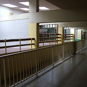 Rhino and Tapir House Interior at Berlin Zoo, 31/08/11